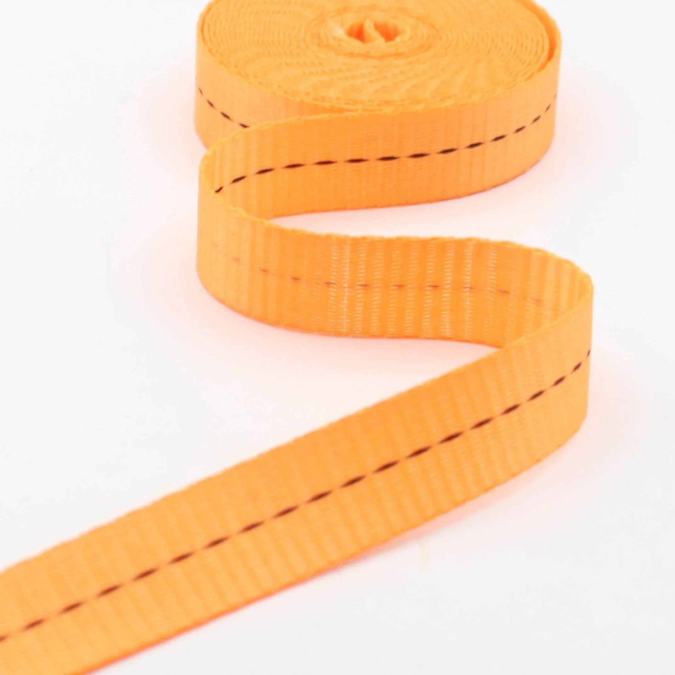 10 meters 25mm Polyester Webbing with Central Black Stitches #RUB3563 - ACCESSOIRES LEDUC BV