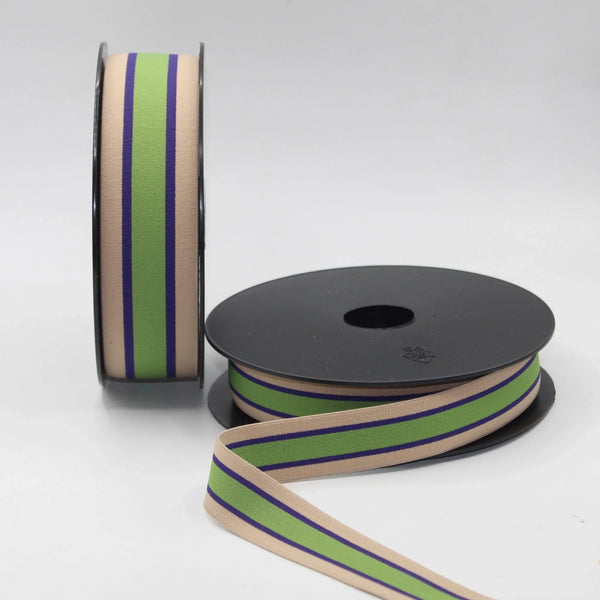 5 meters Elegant Striped Elastic 25 or 40mm #ELA3615 - ACCESSOIRES LEDUC BV