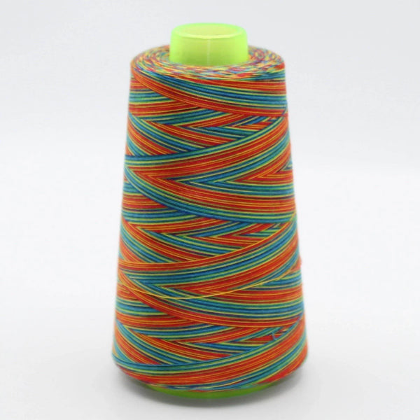 3000 yards Multicolour Overlock Yarns S40/20 - Mix Colours (2700 meters) - ACCESSOIRES LEDUC BV