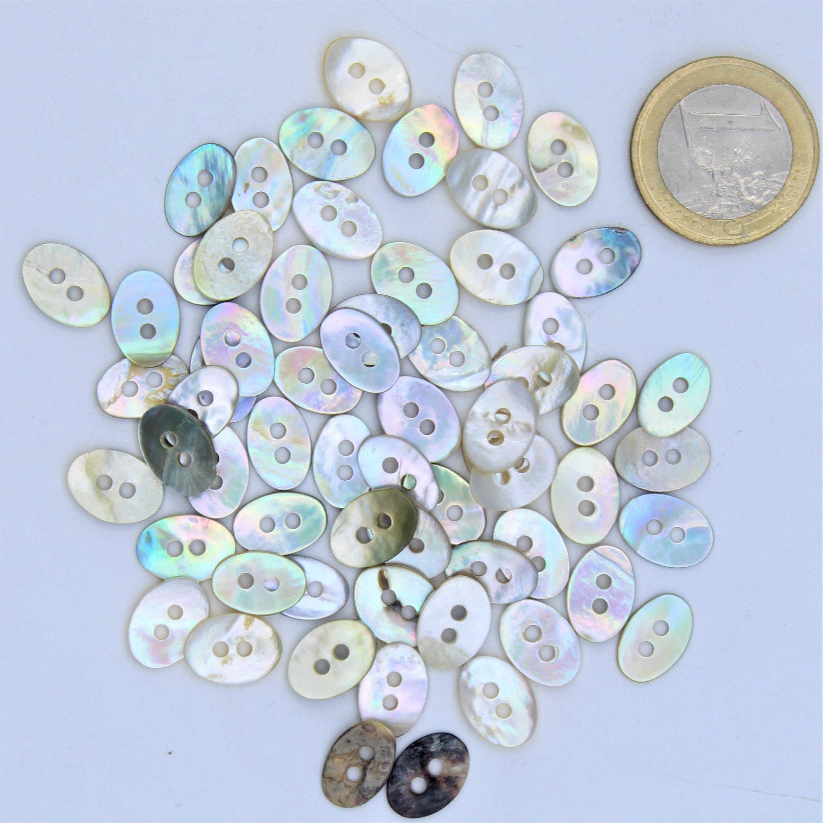 Shinny Shell Button 2 holes #KS24000 - ACCESSOIRES LEDUC BV