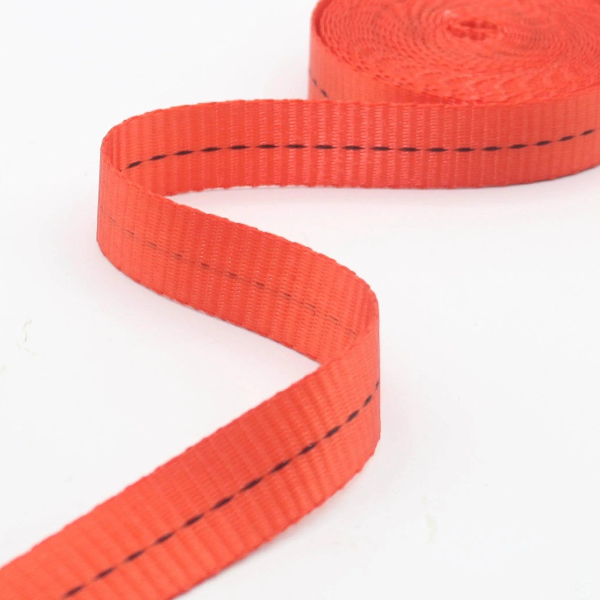 10 meters 25mm Polyester Webbing with Central Black Stitches #RUB3563 - ACCESSOIRES LEDUC BV