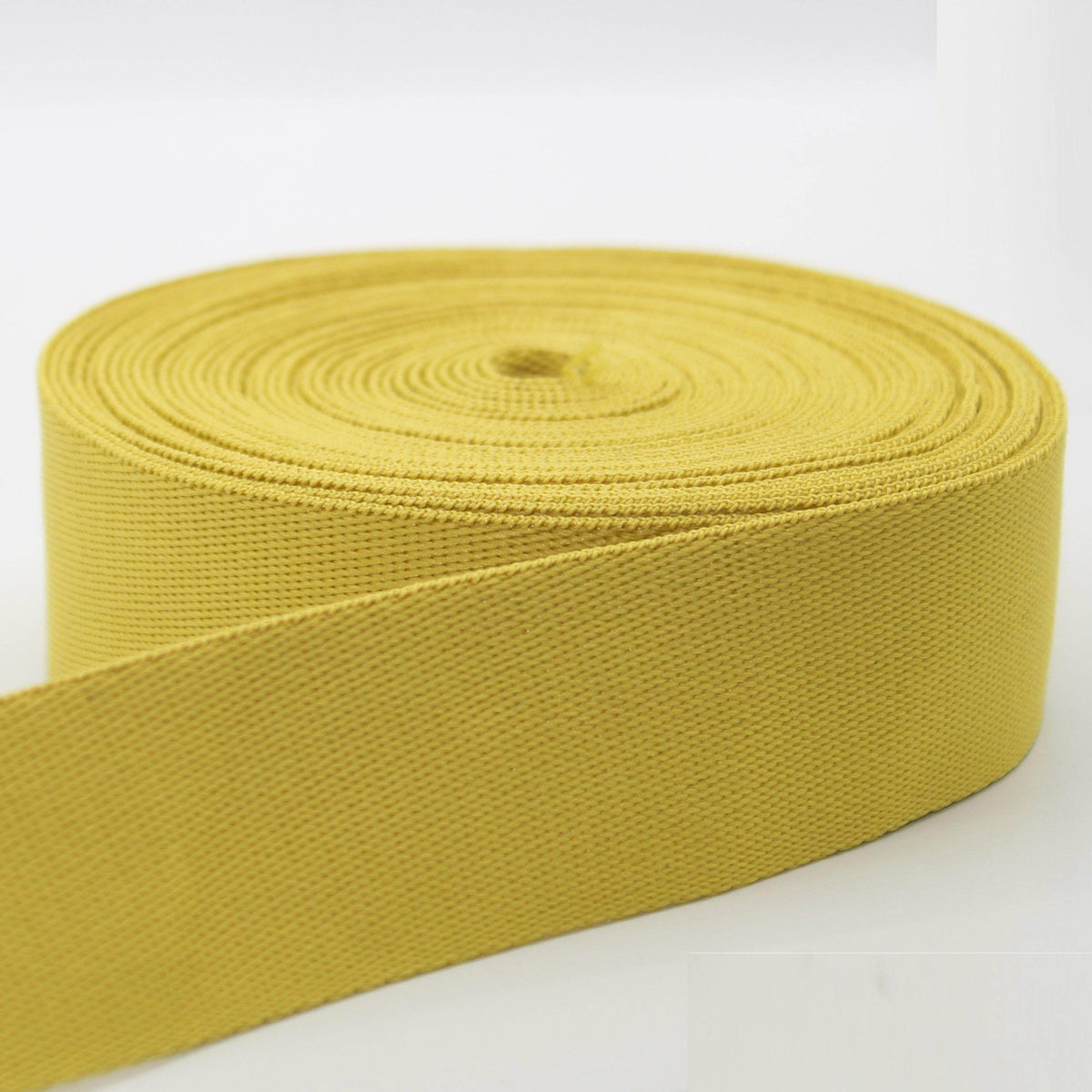 3 meters Shiny Soft Polyester Webbing 40mm #RUB1961 - ACCESSOIRES LEDUC BV