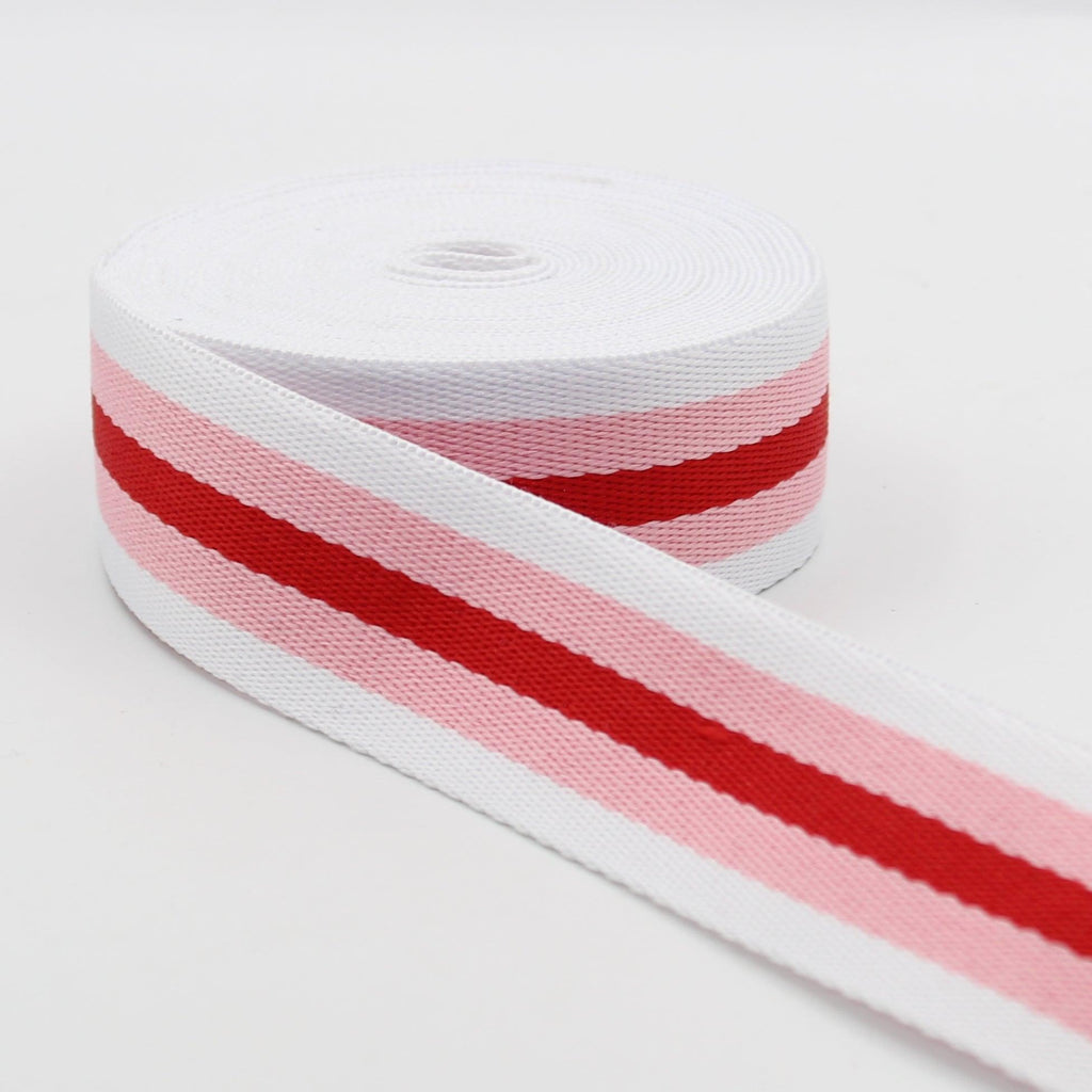 5 meters 4cm Colourful Polyester Webbing #RUB1981 - ACCESSOIRES LEDUC