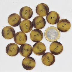 Compound Tortoiseshell Button with 2 Gold Metal Holes #KC24000 - ACCESSOIRES LEDUC